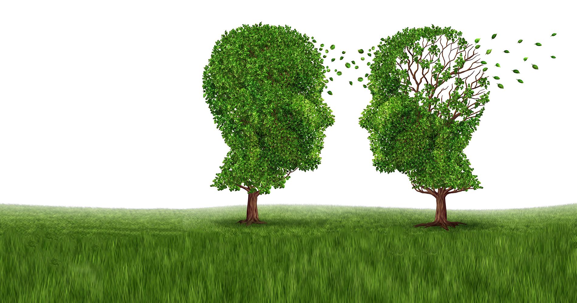 How To Recognize Alzheimer’s Disease When It Strikes a Loved One