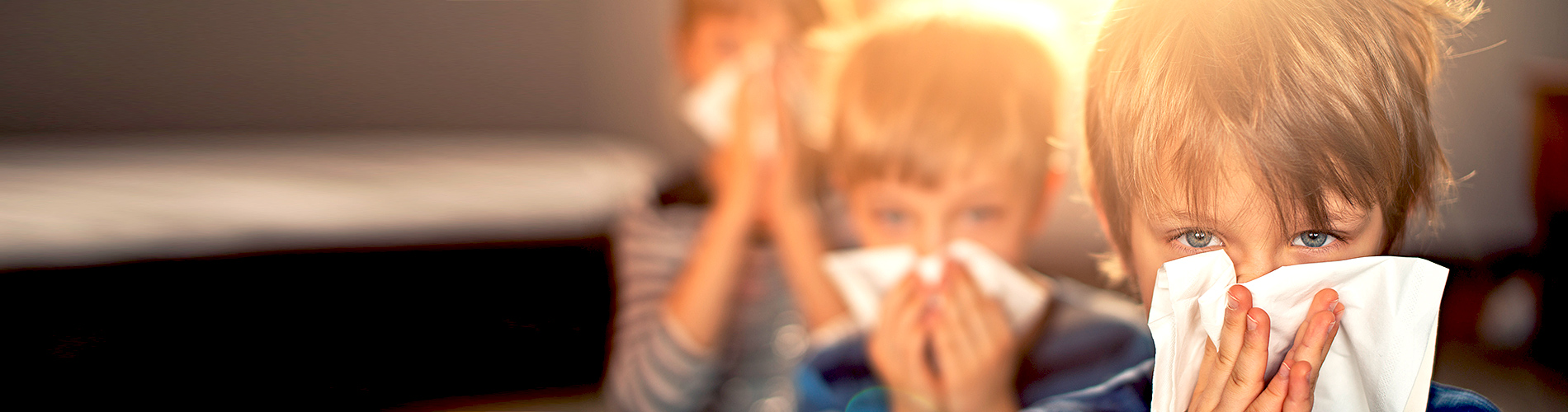 How You Can Safeguard Your Family During Flu Season