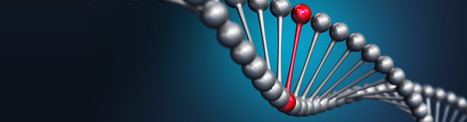 Epigenetics: Your Behavior and Your DNA